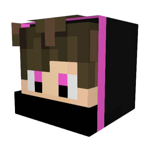 Pogooo Minecraft avatar head, 3D render