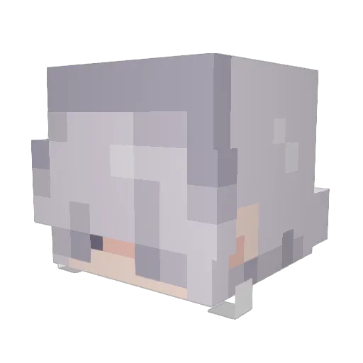 Pogostars Minecraft avatar head, 3D render