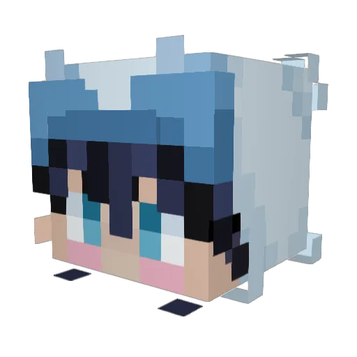 Pohakuz808 Minecraft avatar head, 3D render