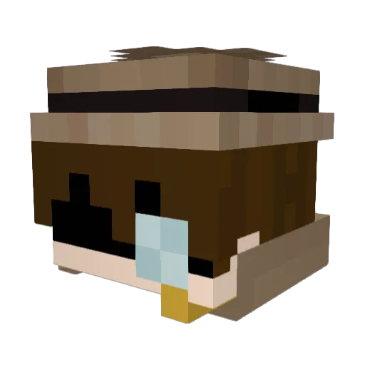 Poi4ik Minecraft avatar head, 3D render