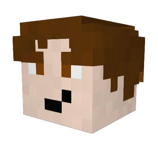 Poida12 Minecraft avatar head, 3D render