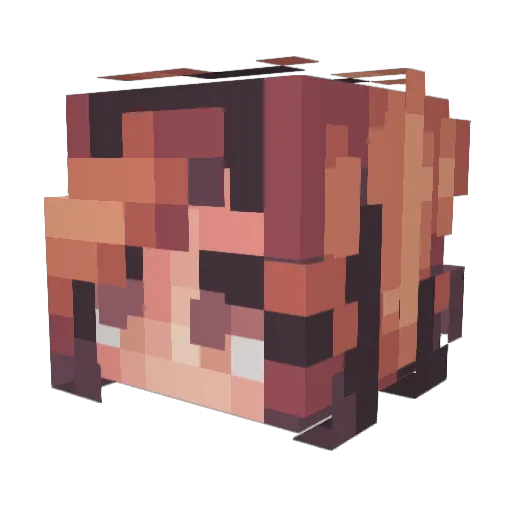 PoikCans Minecraft avatar head, 3D render