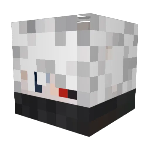 Poika1 Minecraft avatar head, 3D render