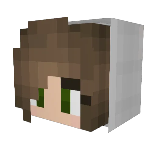 PoikaTheBest Minecraft avatar head, 3D render