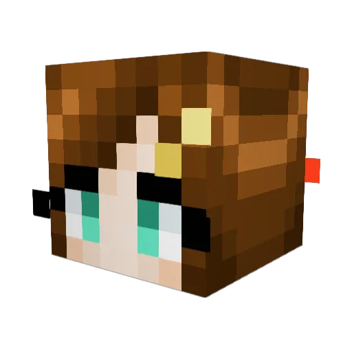 Poika_21 Minecraft avatar head, 3D render