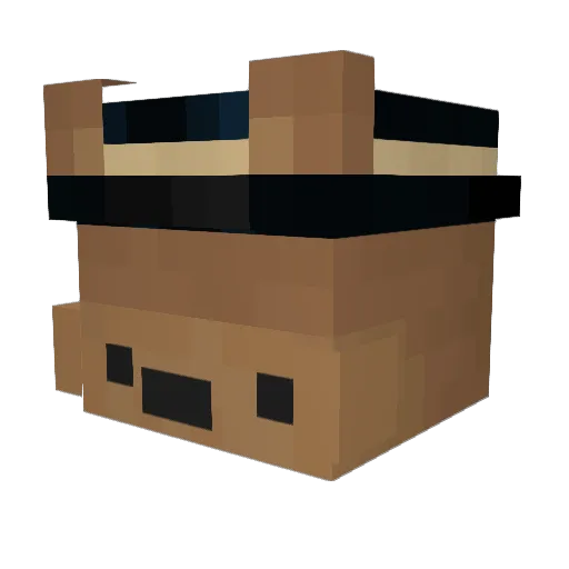 PointBreak5683 Minecraft avatar head, 3D render