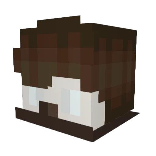 Point_Echo Minecraft avatar head, 3D render