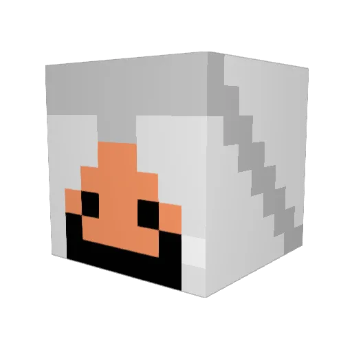 Point_blank97 Minecraft avatar head, 3D render