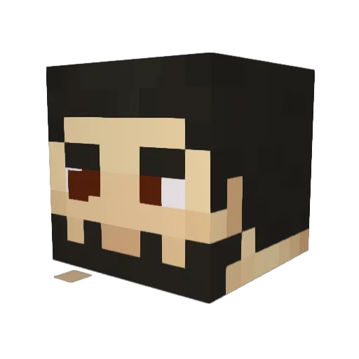 PointerX90 Minecraft avatar head, 3D render