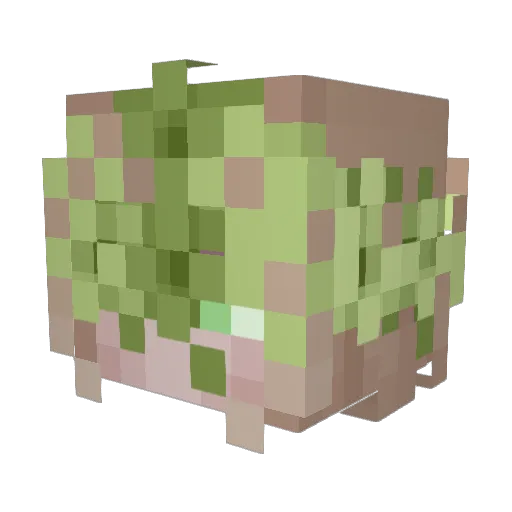 Poious Minecraft avatar head, 3D render