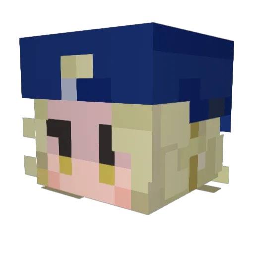 Poiple345 Minecraft avatar head, 3D render