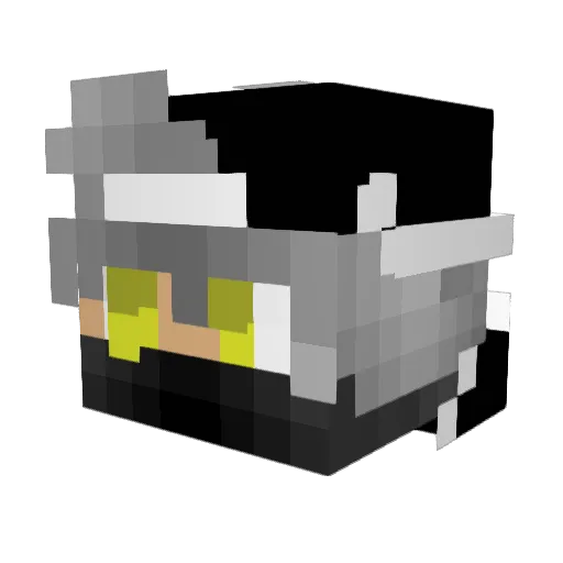 PoisedMagger Minecraft avatar head, 3D render