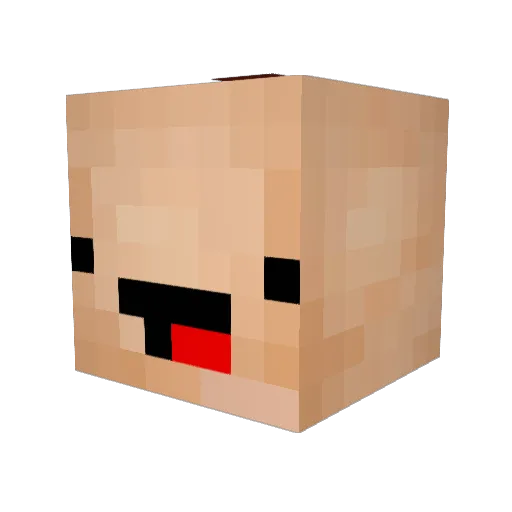 PoishiiFna789 Minecraft avatar head, 3D render