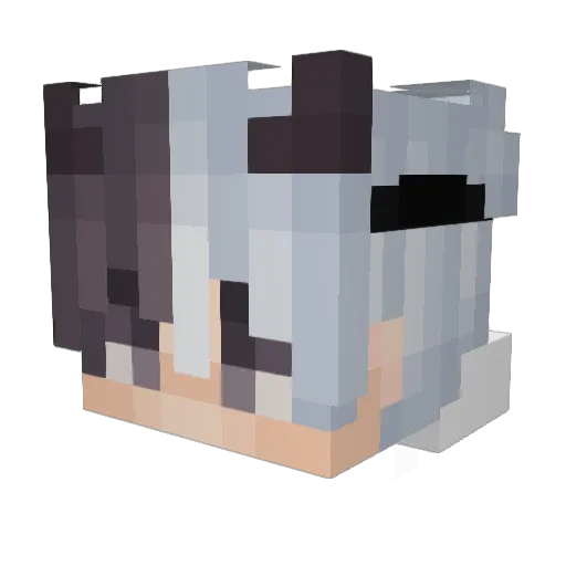 Poishii_V1 Minecraft avatar head, 3D render