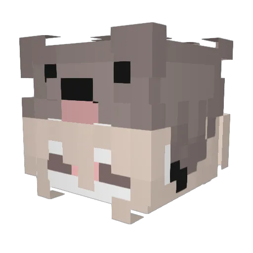 PoisonAspectIII Minecraft avatar head, 3D render