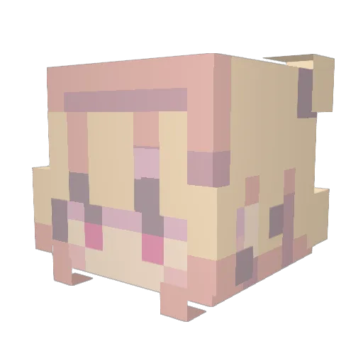 PoisonDart11 Minecraft avatar head, 3D render
