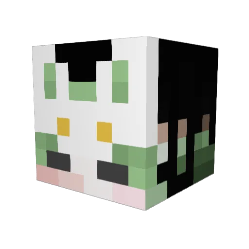 PoisonKitsune05 Minecraft avatar head, 3D render