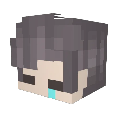 PoisonMeDaddy Minecraft avatar head, 3D render