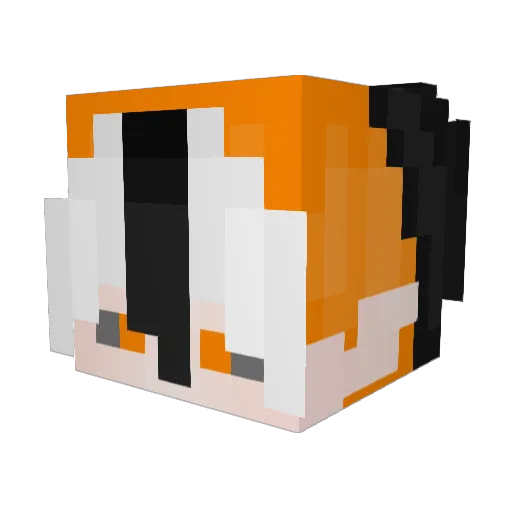 PoisonedPanic Minecraft avatar head, 3D render