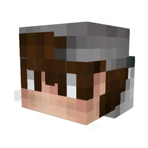 PoisonousFart Minecraft avatar head, 3D render