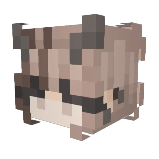 PoisonousLee Minecraft avatar head, 3D render