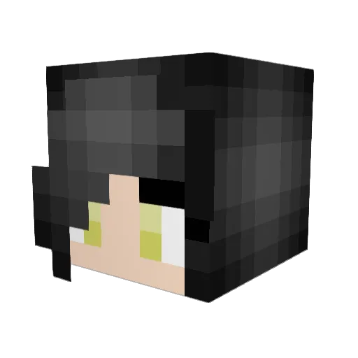 PoisonxGamer Minecraft avatar head, 3D render