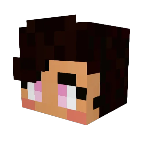 Poistype Minecraft avatar head, 3D render