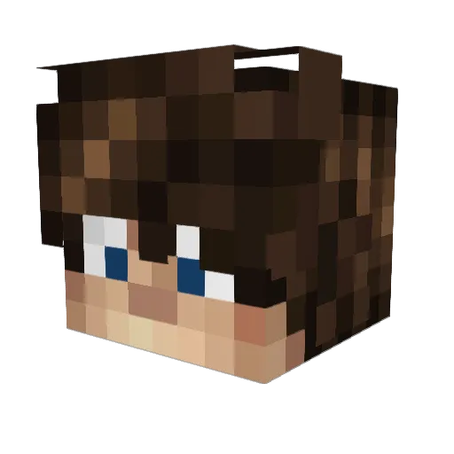 Poiuyos Minecraft avatar head, 3D render