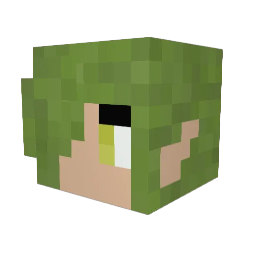 PoizonParadize Minecraft avatar head, 3D render