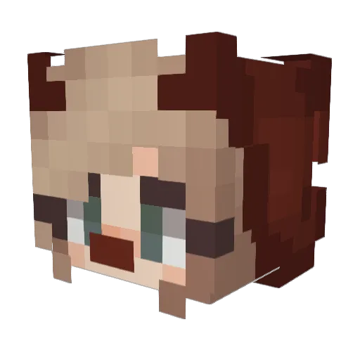 PojWardo Minecraft avatar head, 3D render
