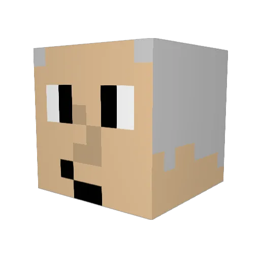 Pojavcraft Minecraft avatar head, 3D render