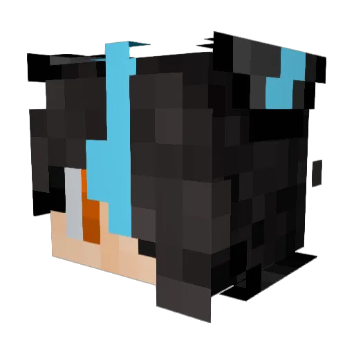 Pok3_Dex Minecraft avatar head, 3D render