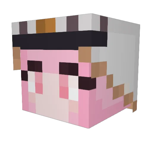 PokAniSter Minecraft avatar head, 3D render