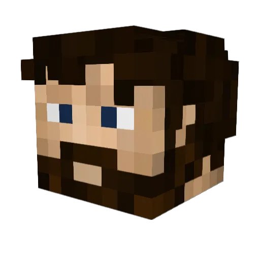 PokDebug Minecraft avatar head, 3D render