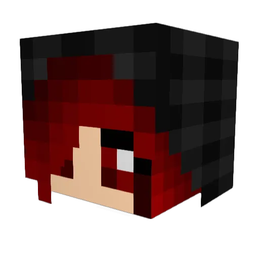 PokaPoka123 Minecraft avatar head, 3D render