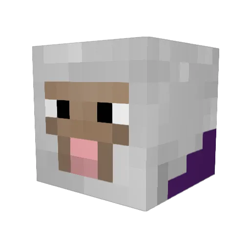 Pokach Minecraft avatar head, 3D render