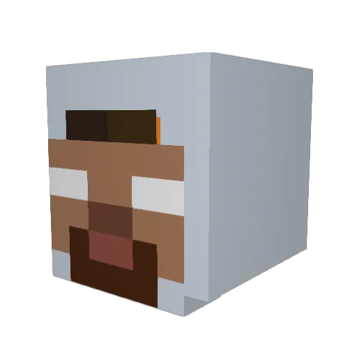 Pokata_ Minecraft avatar head, 3D render