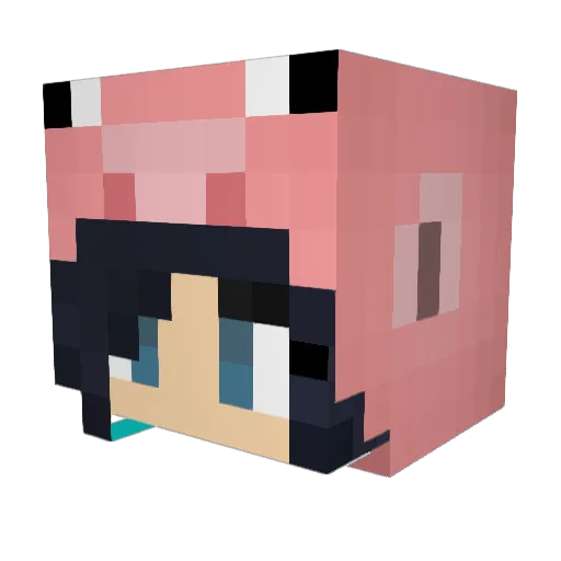Poke4u Minecraft avatar head, 3D render