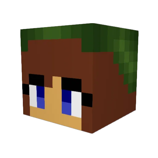 PokeFanChick Minecraft avatar head, 3D render