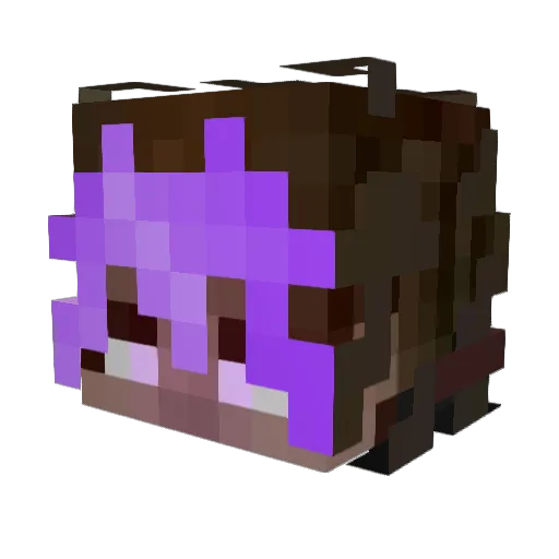 PokeZero15 Minecraft avatar head, 3D render
