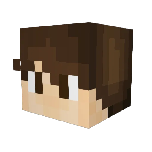 Poke_Storm Minecraft avatar head, 3D render