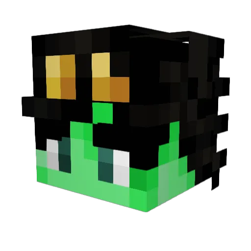Poke_too Minecraft avatar head, 3D render