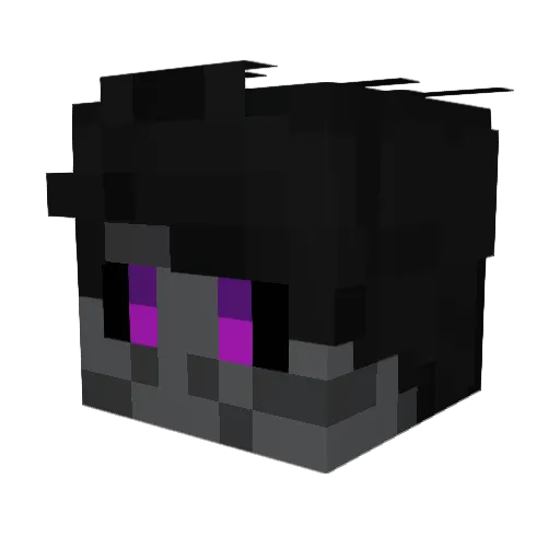 Pokeballer_ Minecraft avatar head, 3D render