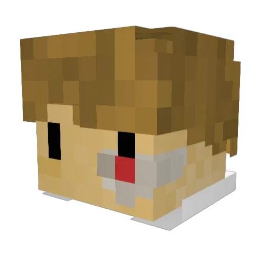 Pokeboog14 Minecraft avatar head, 3D render