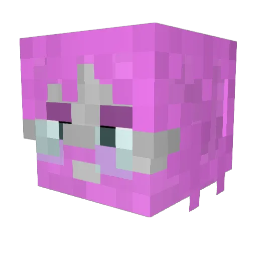 Pokebustler Minecraft avatar head, 3D render
