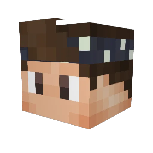 Pokedocy Minecraft avatar head, 3D render
