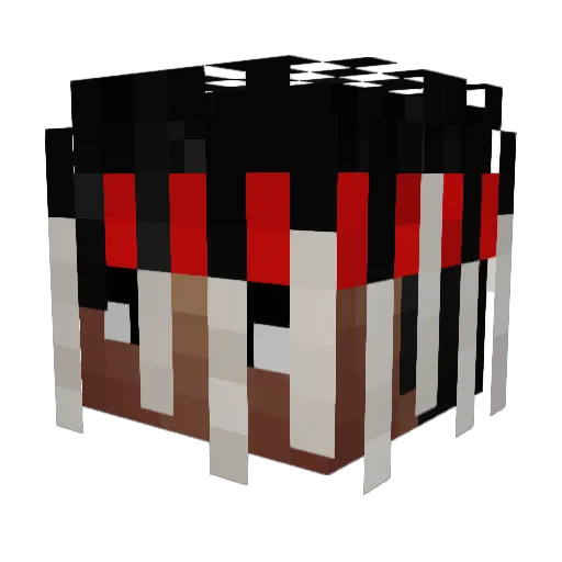 Pokedubz Minecraft avatar head, 3D render