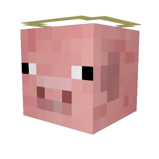 Pokego321 Minecraft avatar head, 3D render