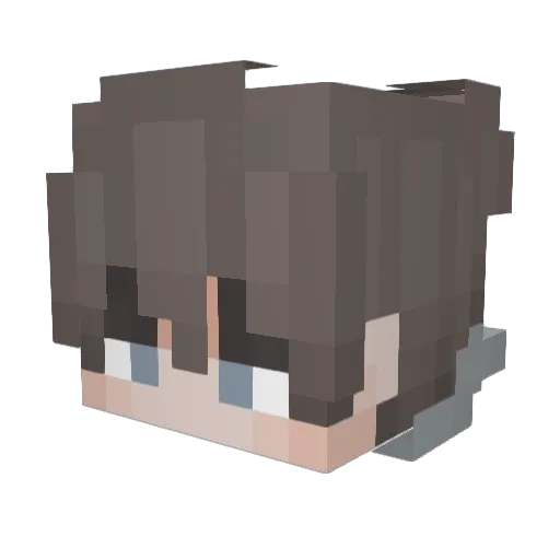 Pokehim Minecraft avatar head, 3D render
