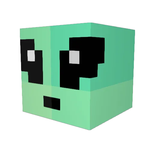 Pokehunter775 Minecraft avatar head, 3D render